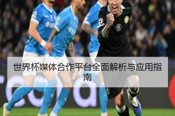 世界杯媒体合作平台全面解析与应用指南