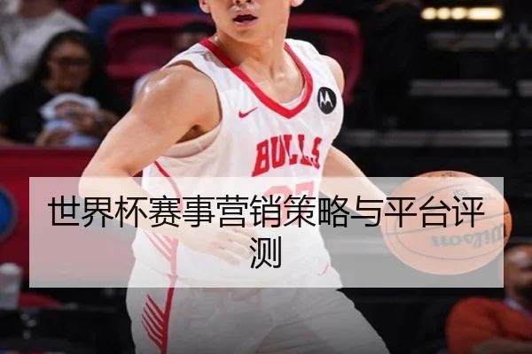 世界杯赛事营销策略与平台评测