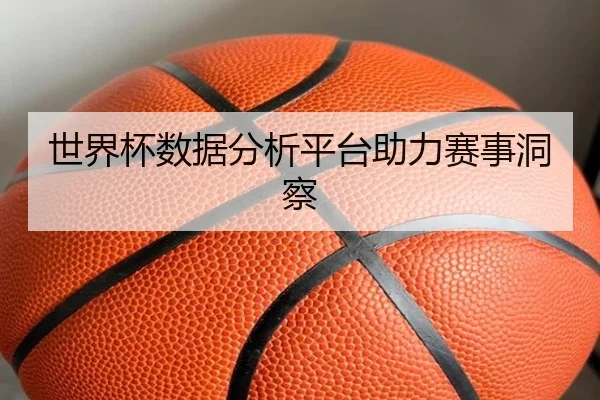 世界杯数据分析平台助力赛事洞察