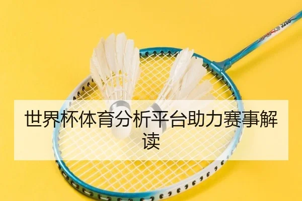世界杯体育分析平台助力赛事解读
