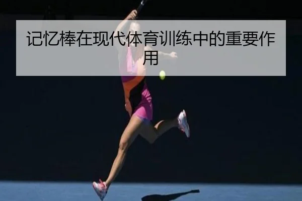 记忆棒在现代体育训练中的重要作用