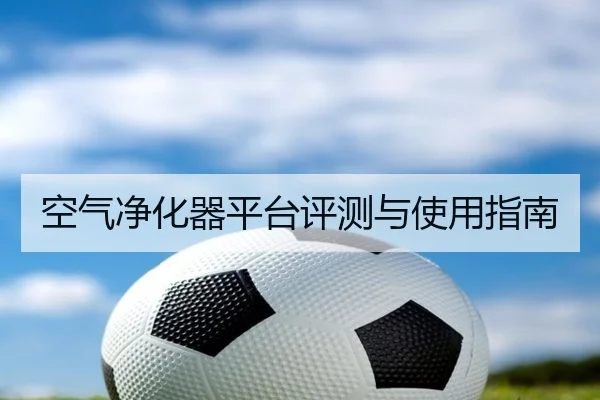 空气净化器平台评测与使用指南
