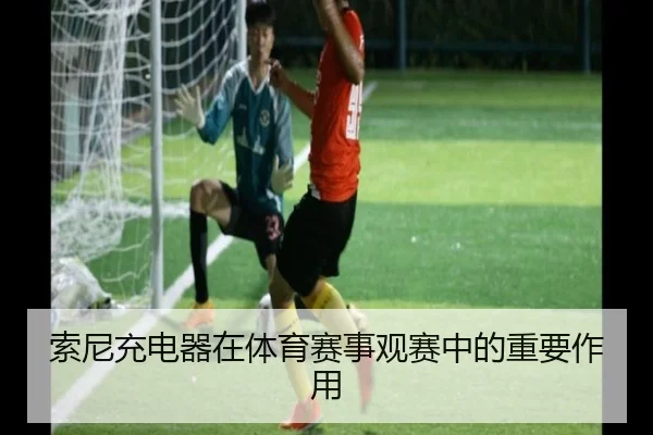 索尼充电器在体育赛事观赛中的重要作用