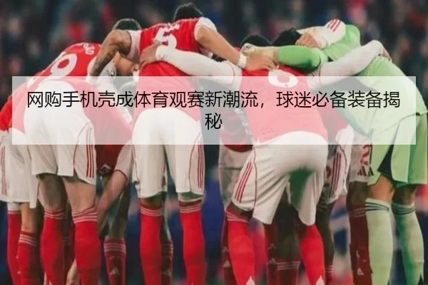 网购手机壳成体育观赛新潮流，球迷必备装备揭秘