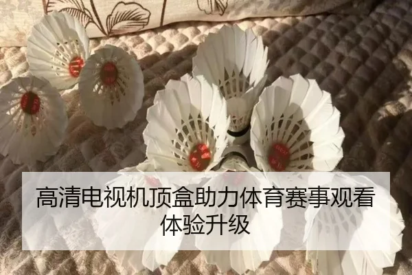 高清电视机顶盒助力体育赛事观看体验升级