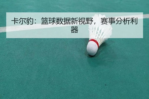 卡尔豹：篮球数据新视野，赛事分析利器