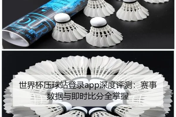 世界杯压球站登录app深度评测：赛事数据与即时比分全掌握
